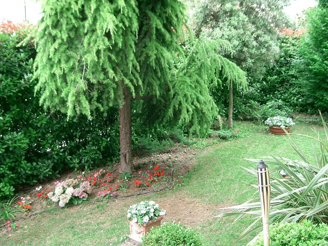 B&B Casa Boscolo Пйове-ді-Сакко Екстер'єр фото